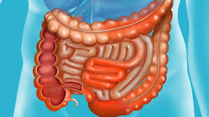 Intestine or Intestate?